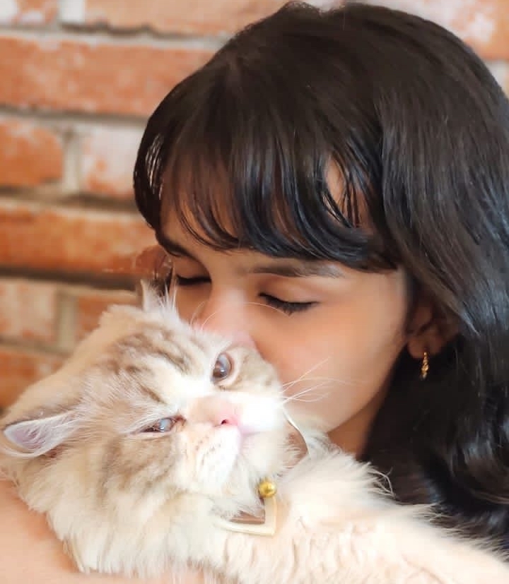 save 20220906 203142