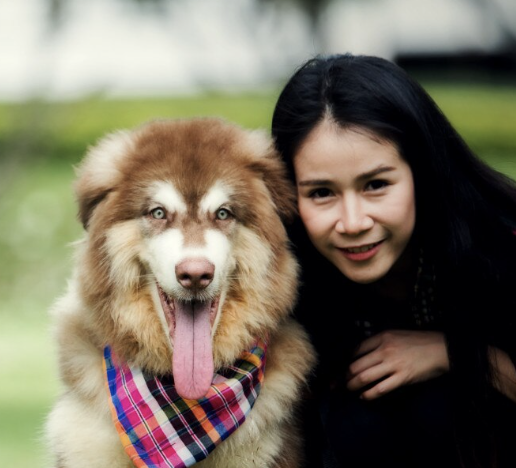 screenshot 2025 08 06 at 12.05.34 am