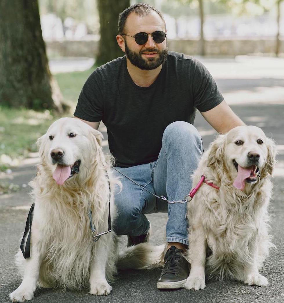 dog training why socialisation mb